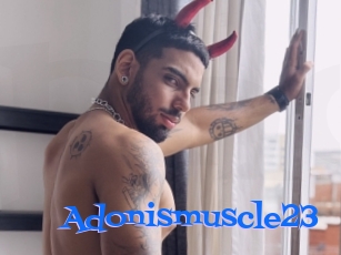 Adonismuscle23