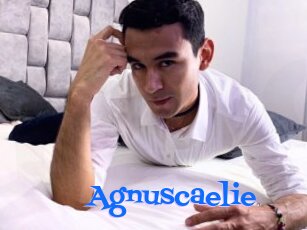 Agnuscaelie