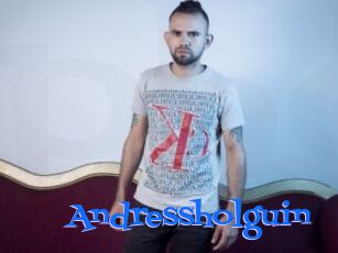 Andressholguin