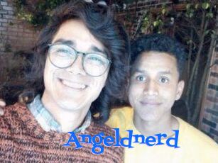 Angeldnerd