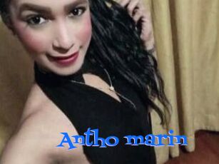 Antho_marin
