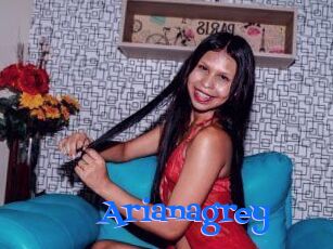 Arianagrey