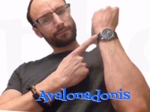 Avalonadonis