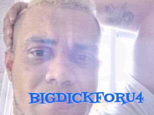 BIGDICKFORU4