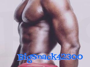 BigSnack42300