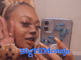 BigTitMonaje