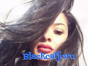 Blackcatforu