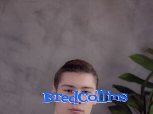 BredCollins