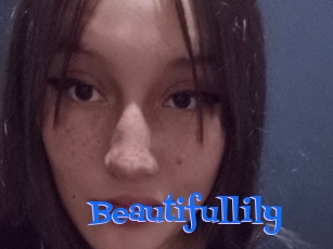 Beautifullily