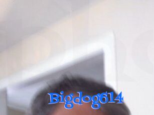 Bigdog614