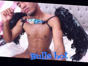Bulls_hot