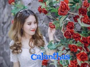 Calanthas