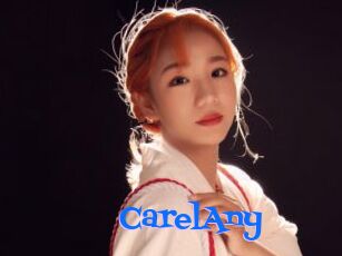 CarelAny Photos 2 X