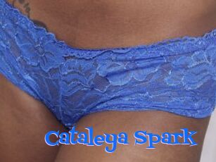 Cataleya_Spark