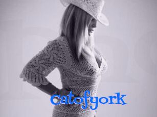 Catofyork