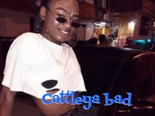Cattleya_bad
