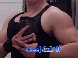 Ceebizkit