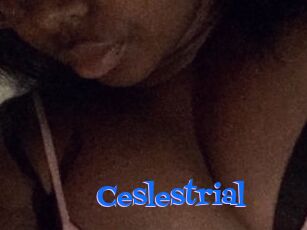 Ceslestrial