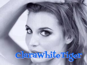 ClaraWhiteTiger