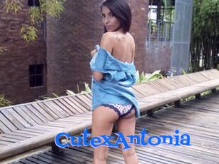 CutexAntonia