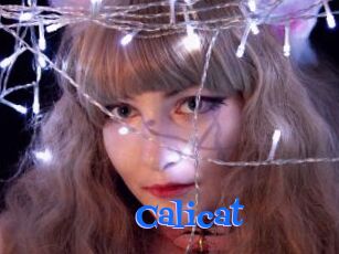 Calicat