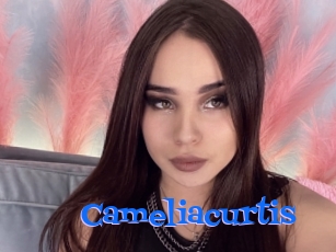 Cameliacurtis