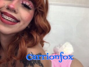 Carrionfox