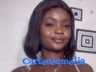 Cartercamelia