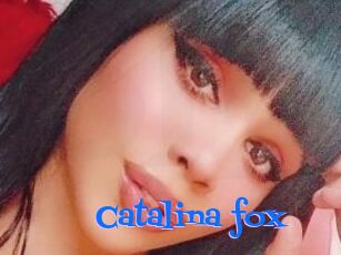Catalina_fox