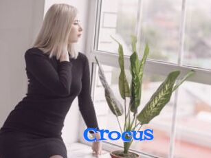 Crocus