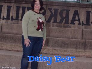 Daisy_Bear
