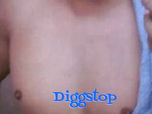 Diggstop