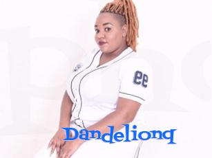 Dandelionq