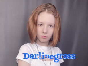 Darlinegrass