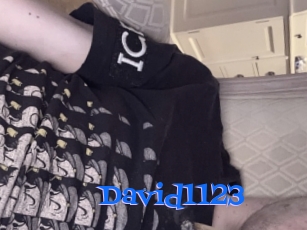 David1123