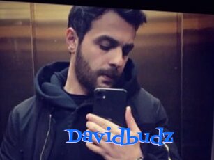 Davidbudz