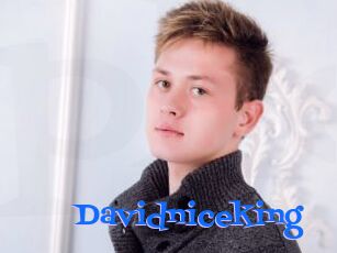 Davidniceking