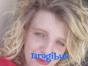 Dragibus