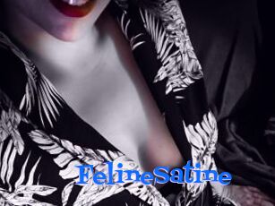 FelineSatine