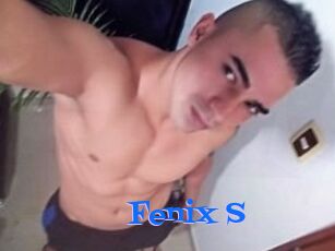 Fenix_S