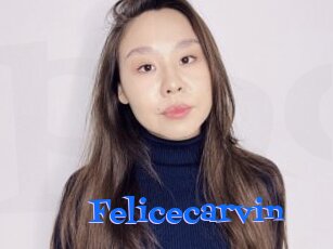 Felicecarvin