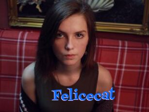 Felicecat