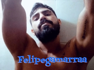 Felipegamarraa
