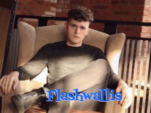 Flashwallis