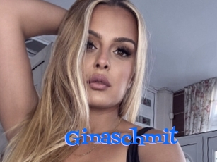 Ginaschmit