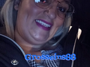 Grosseins88
