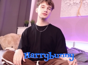 Harrybunny