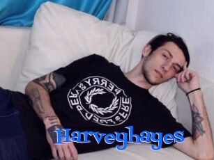 Harveyhayes