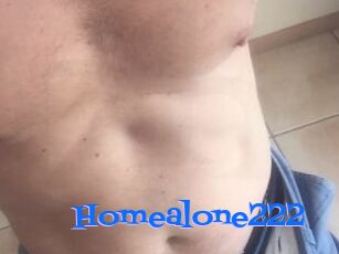 Homealone222