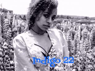 Indigo_22